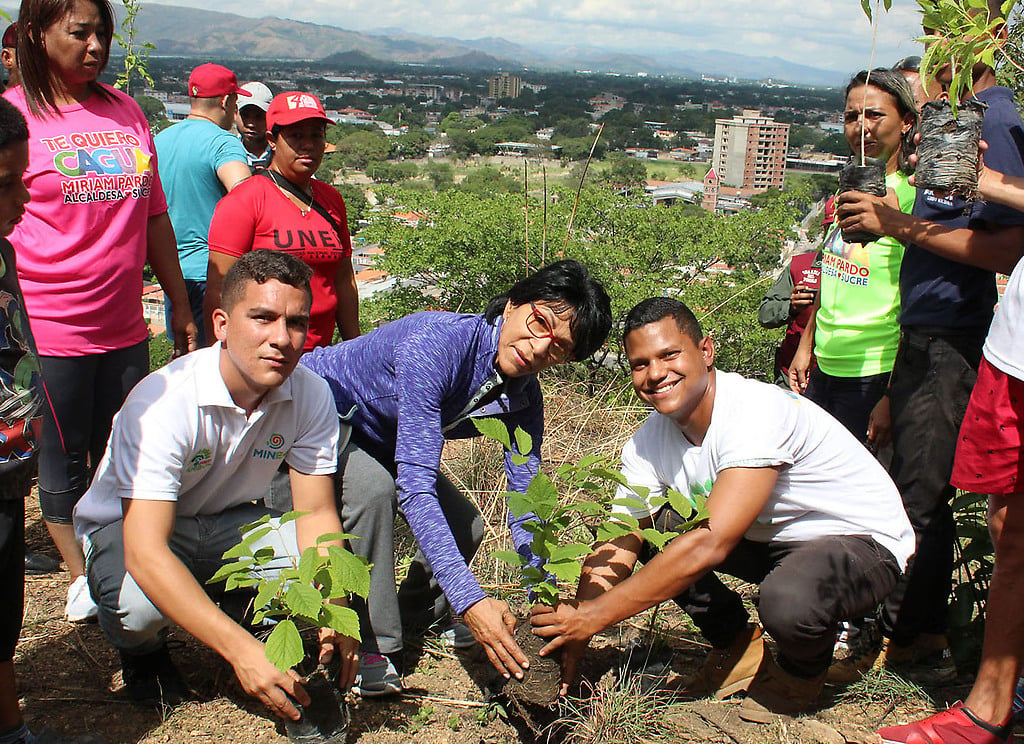 Más de mil árboles fueron plantados en el Día del Árbol en Aragua
