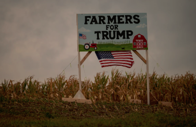 Productores agrícolas se arrepienten de haber votado pro Trump porque sus medidas afectan sus intereses